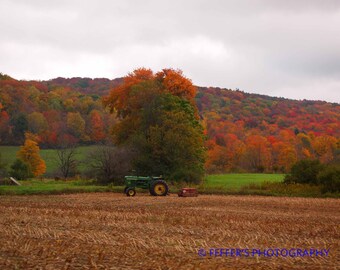 Pumpkinville Digital  Photography  Great Valley NY 8x10 or 5x7 4x6 Fine Art Print - Fall decor wall art