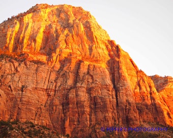 Zion National Park  Utah Digital  Photography - 5x7 or 8x10 Fine Art Print - Southwestern Home Decor