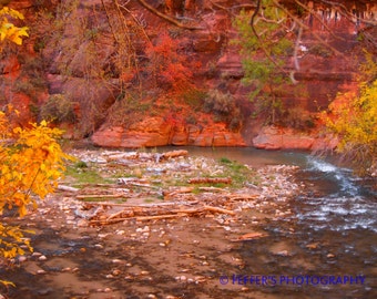 Zion National Park  Utah Digital  Photography - 5x7 or 8x10 4x6 Fine Art Print - Southwestern Home Decor