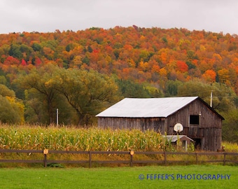 Pumpkinville Digital   Photography Great Valley NY 8x10 or 5x7 Fine Art Print - Fall decor wall art