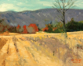 Original After Harvest 144 Original oil painting landscape painting by TomFisherArt landscape art