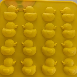 Eendenvorm: 16 holtes