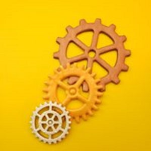 Gear plunger/cutter 3 sizes