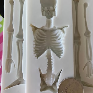 Skeleton, silicone, mold