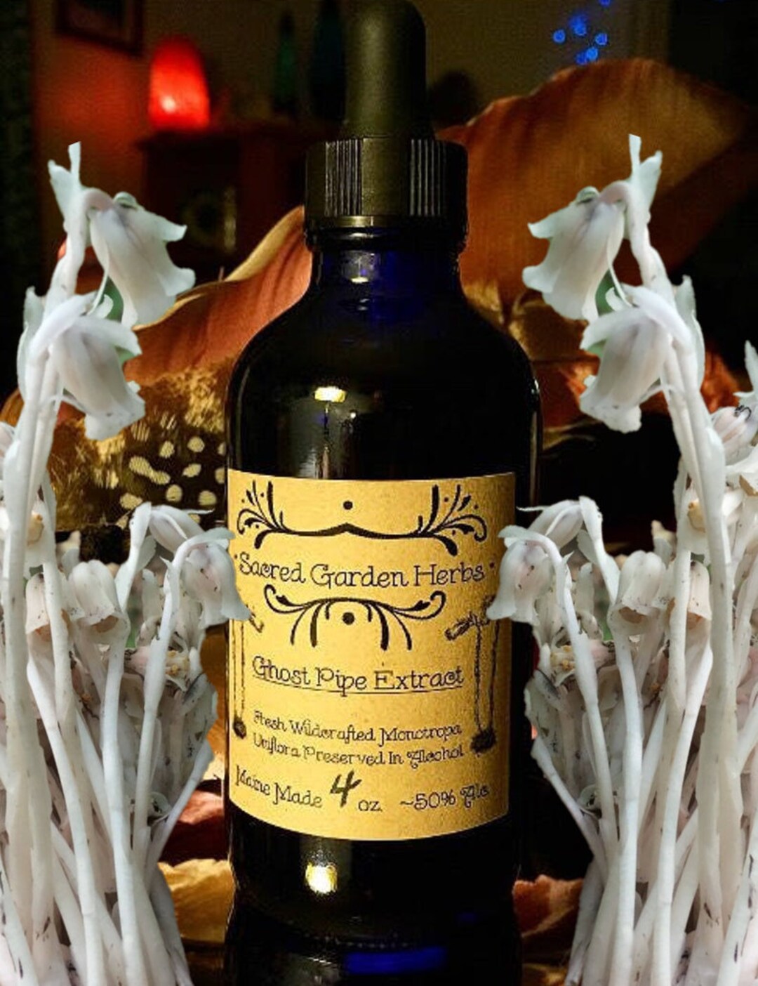Ghost Pipe Tincture wildcrafted Indian Pipe Extract Etsy