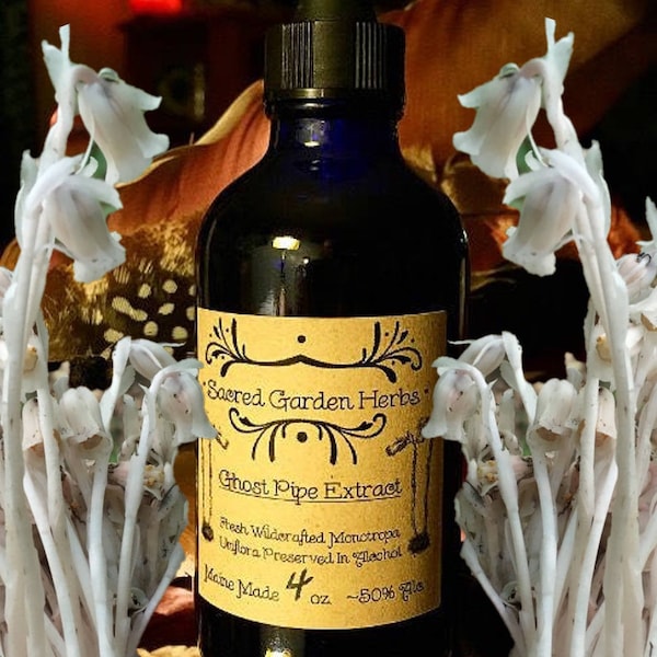 Ghost Pipe Tincture (Wildcrafted Indian Pipe Extract)