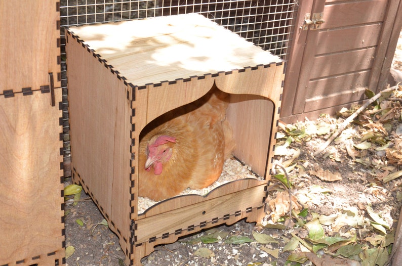 Sale! Chicken Nesting Box
