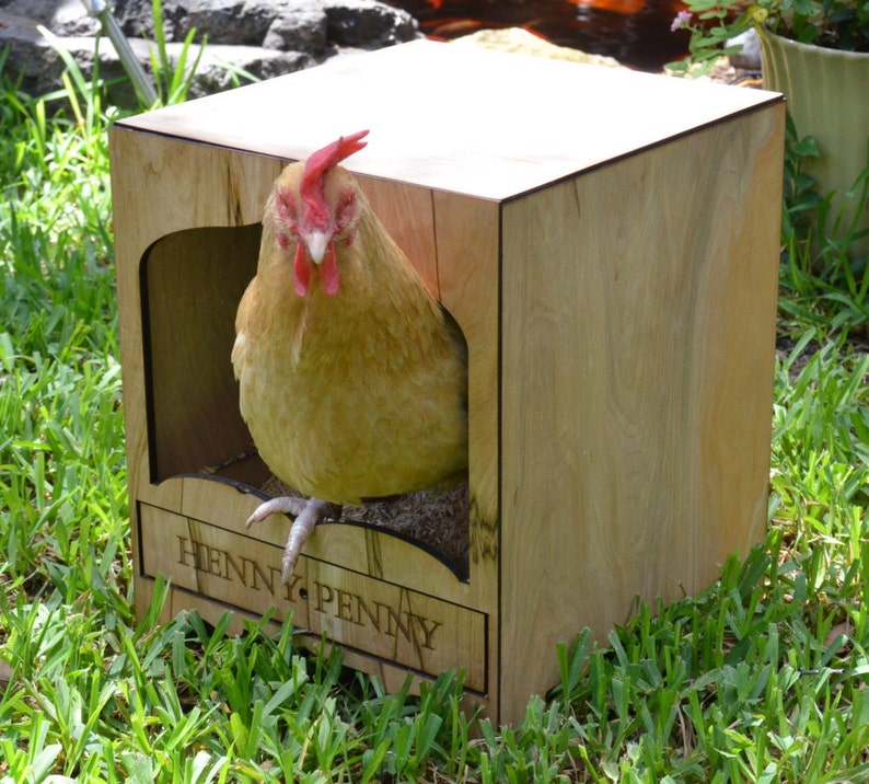 Sale! Chicken Nesting Box