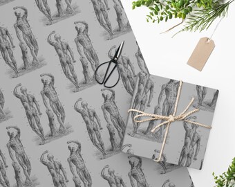 May include: Gray wrapping paper with a repeating pattern of anatomical illustrations of the human muscular system.