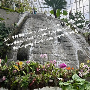 May include: An indoor garden with a waterfall feature, flowing over grey rocks. A variety of colourful flowers are planted at the base. The scene is set under a glass dome, with text from John 4:14. A tranquil, natural environment.