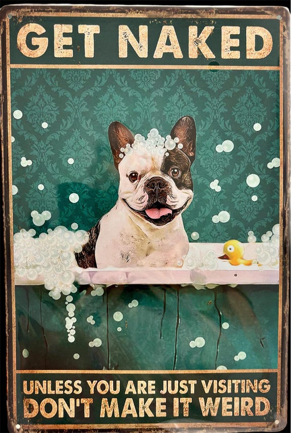 Bathroom Metal Sign / Get Naked / Tin Poster / Dog / Pet / Funny / Decorative Plate