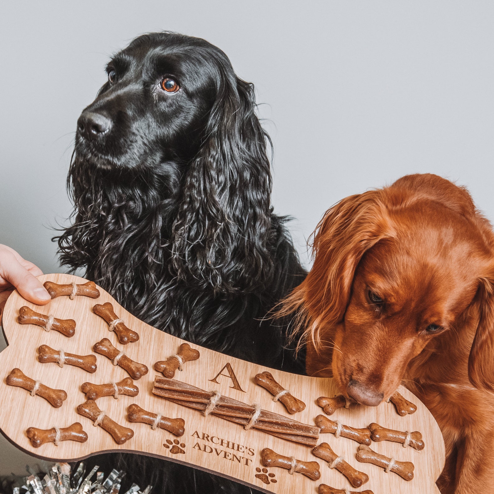 Dog Advent Calendar Treats Dog Bone Christmas Wooden Pet Etsy Canada
