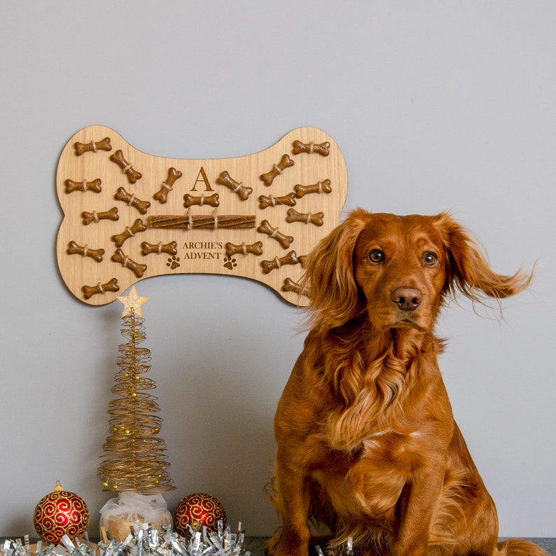8 Best Dog Advent Calendars For 2022 — Dog Treat Advent Calendars