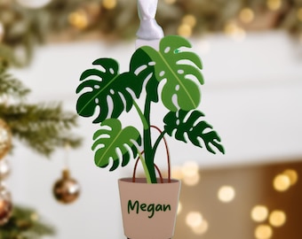 Personalised Plant Pot Christmas Decoration: 2025 Gift for Plant Lovers