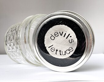 Stash jar, storage jar, glass jar, custom jar, devils lettuce, pewter coin, black glitter, quote gift, word accessory. Gifts for her