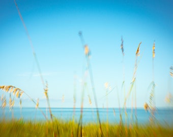 Morning Beach Walk