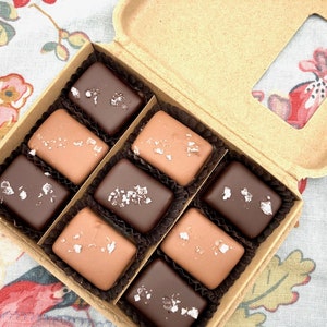 9 Piece Box Chocolate Covered Salted Caramels Organic, Fair Trade, Dark Chocolate, Milk Chocolate Soy free, Vermont, Handmade, Gift image 10