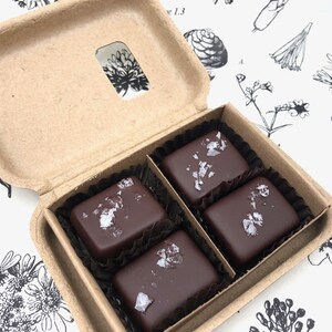 4 Piece Box Chocolate Covered Salted Caramels Dark Chocolate, Organic, Fair Trade, Soy Free, Vermont, New England, Holiday, Gift image 8