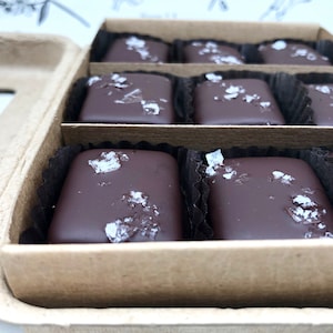 9 Piece Box Chocolate Covered Salted Caramels Organic, Fair Trade, Dark Chocolate, Milk Chocolate Soy free, Vermont, Handmade, Gift image 3