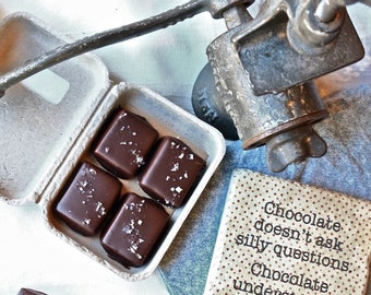 Small Chocolate Bar & Caramel Bundle (Organic, Fair Trade, Soy Free, Gift, Handmade, Vermont, Ethical, Sustainable)