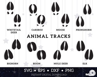 Download Hoof Print Svg Etsy PSD Mockup Templates
