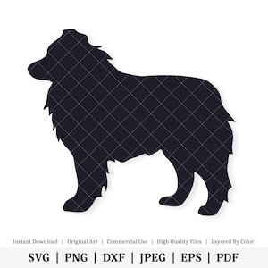 Pastor australiano / Ilustración vectorial / DESCARGA DIGITAL INSTANTÁNEA / svg / png / dxf / jpeg / eps / pdf