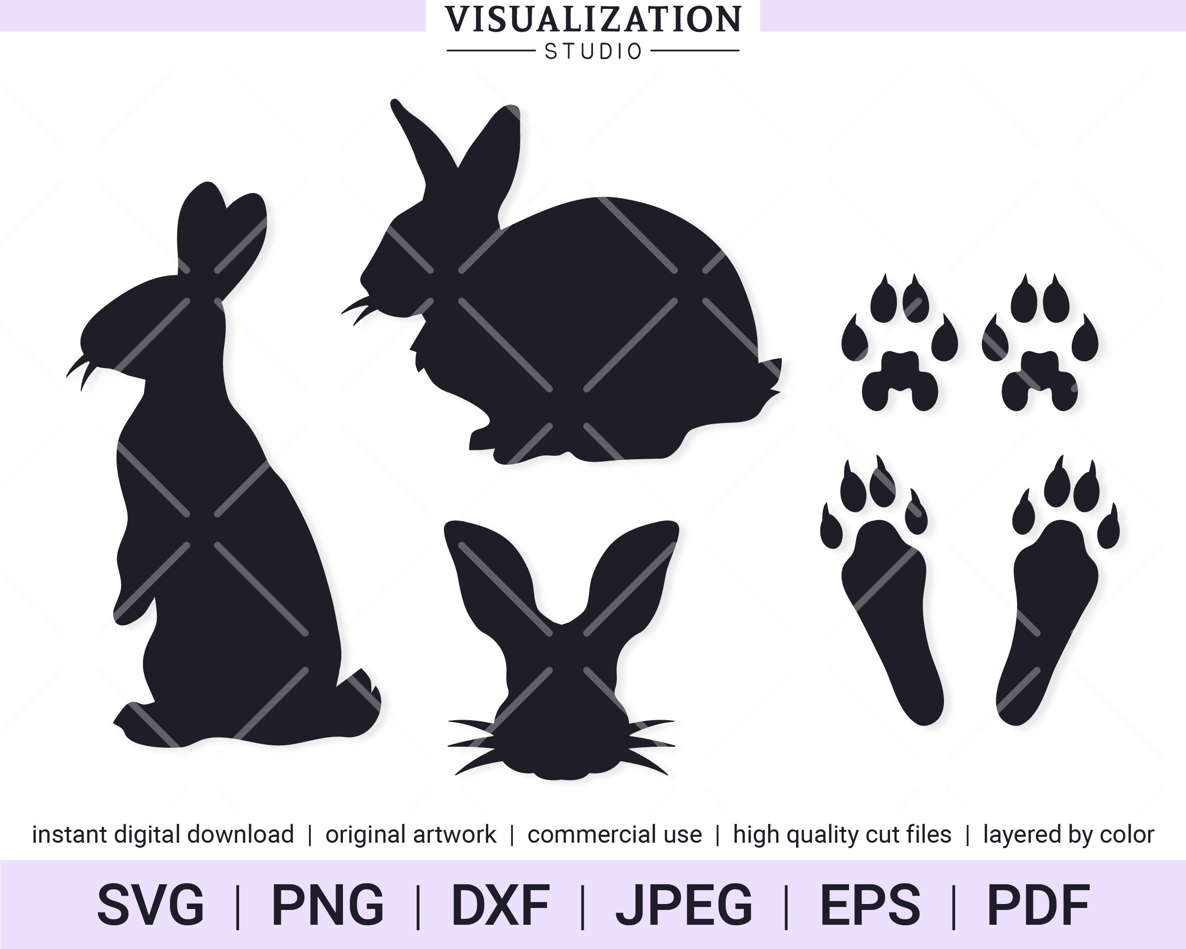 Viet Bunny Leak: The Digital Footprint - n4drh8k