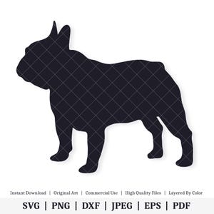 Französische Bulldogge | Illustrationen | SOFORTIGER DIGITALER DOWNLOAD | svg | png | dxf | .jpg | eps | pdf