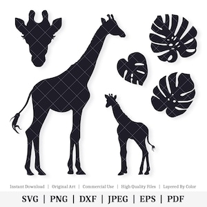 Girafe | Pack de vecteurs | TÉLÉCHARGEMENT NUMÉRIQUE INSTANTANÉ | svg | png | dxf | jpeg | EPS | pdf