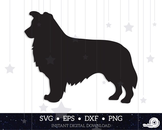 Download Art Collectibles Clip Art Border Collie Svg Silhouette Bundle Png Jpg Pdf Eps Digital Graphic Files
