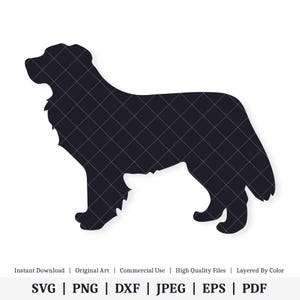 Berner Sennenhund | Illustrationen | SOFORTIGER DIGITALER DOWNLOAD | svg | png | dxf | .jpg | eps | pdf