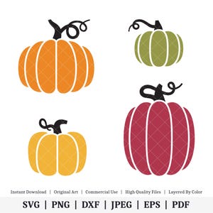 May include: Four different colored pumpkins with a simple design. The pumpkins are orange, yellow, green, and red.