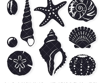 Seashells | Vector Bundle | INSTANT DIGITAL DOWNLOAD | svg | png | dxf | jpeg | eps | pdf