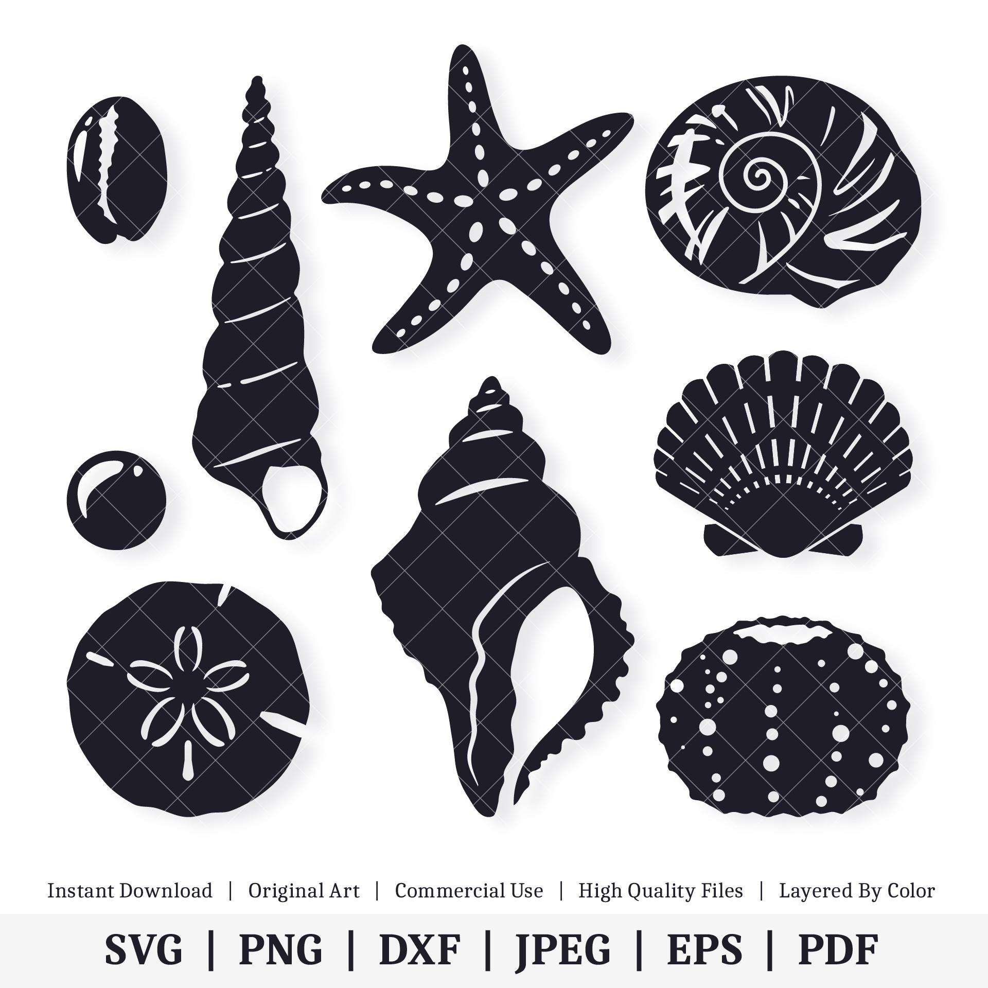 Seashells | Vector Bundle | INSTANT DIGITAL DOWNLOAD | Svg | Png | Dxf ...