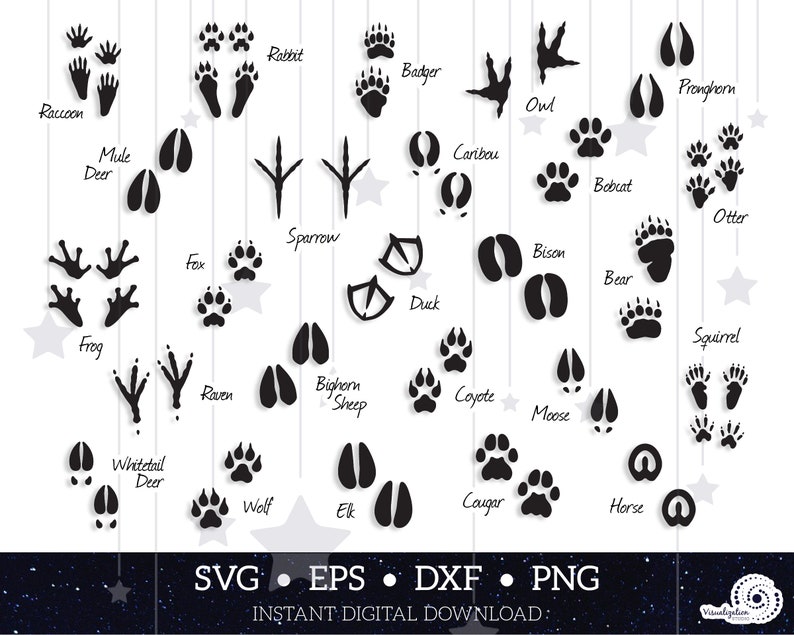 Download Animal Tracks Wildlife Variety Pack Vector Set INSTANT | Etsy
