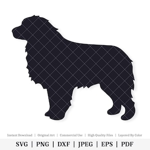 Großer Pyrenäenhund | Illustrationen | SOFORTIGER DIGITALER DOWNLOAD | svg | png | dxf | .jpg | eps | pdf