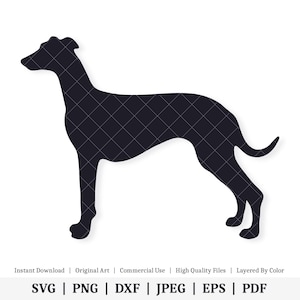 Chien lévrier | Oeuvre D'art Vectorielle | TÉLÉCHARGEMENT NUMÉRIQUE INSTANTANÉ | svg | png | dxf | jpeg | EPS | pdf