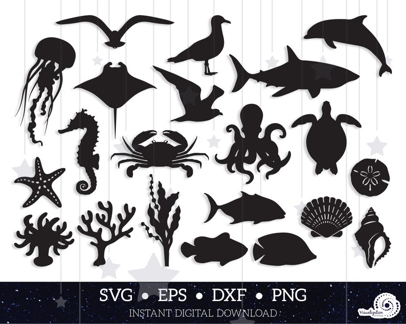 Sea Life Vector Set INSTANT DIGITAL DOWNLOAD svg dxf | Etsy
