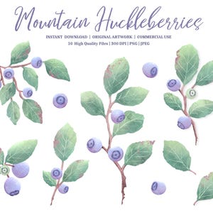 Mountain Huckleberries | Clip Art Bundle | INSTANT DIGITAL DOWNLOAD | png | jpeg