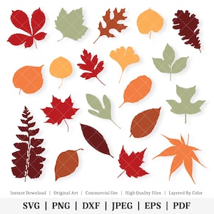 Autumn Fall Leaves | Vector Bundle | INSTANT DIGITAL DOWNLOAD | svg | png | dxf | jpeg | eps | pdf