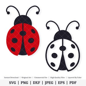 Coccinelle | Oeuvre D'art Vectorielle | TÉLÉCHARGEMENT NUMÉRIQUE INSTANTANÉ | svg | png | dxf | jpeg | EPS | pdf