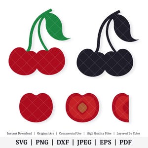 Cereza / Ilustración vectorial / DESCARGA DIGITAL INSTANTÁNEA / svg / png / dxf / jpeg / eps / pdf