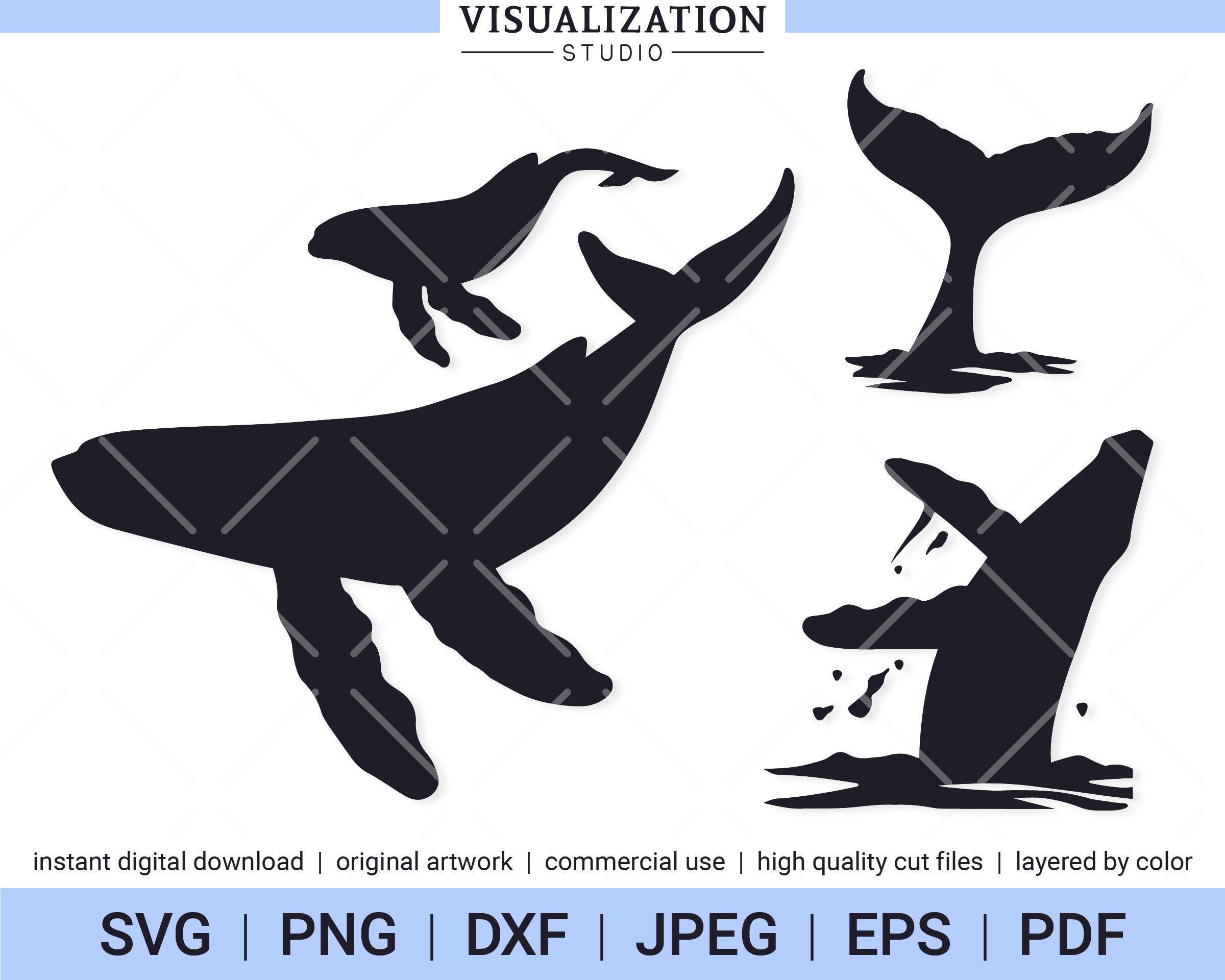 Humpback Whale Clipart