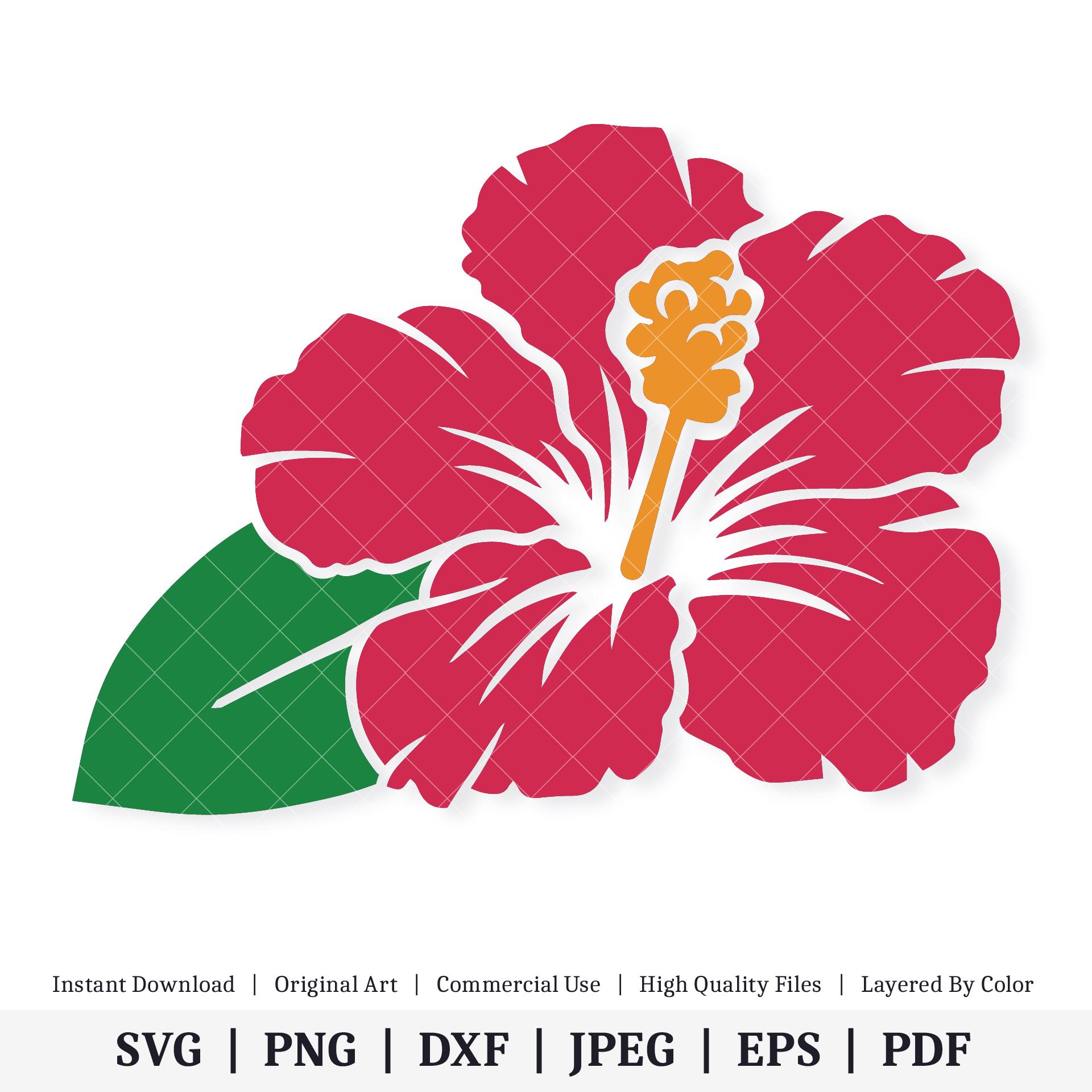 Hibiscus Flower | Vector Artwork | INSTANT DIGITAL DOWNLOAD | Svg | Png ...