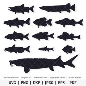 May include: A set of 10 black silhouette fish designs, including a catfish, sturgeon, bass, and salmon. The fish are all facing to the right and are in a variety of sizes. The designs are perfect for crafting, scrapbooking, or any other creative project.