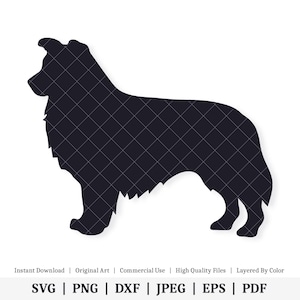 May include: Black silhouette of a Collie dog standing on a white background.
