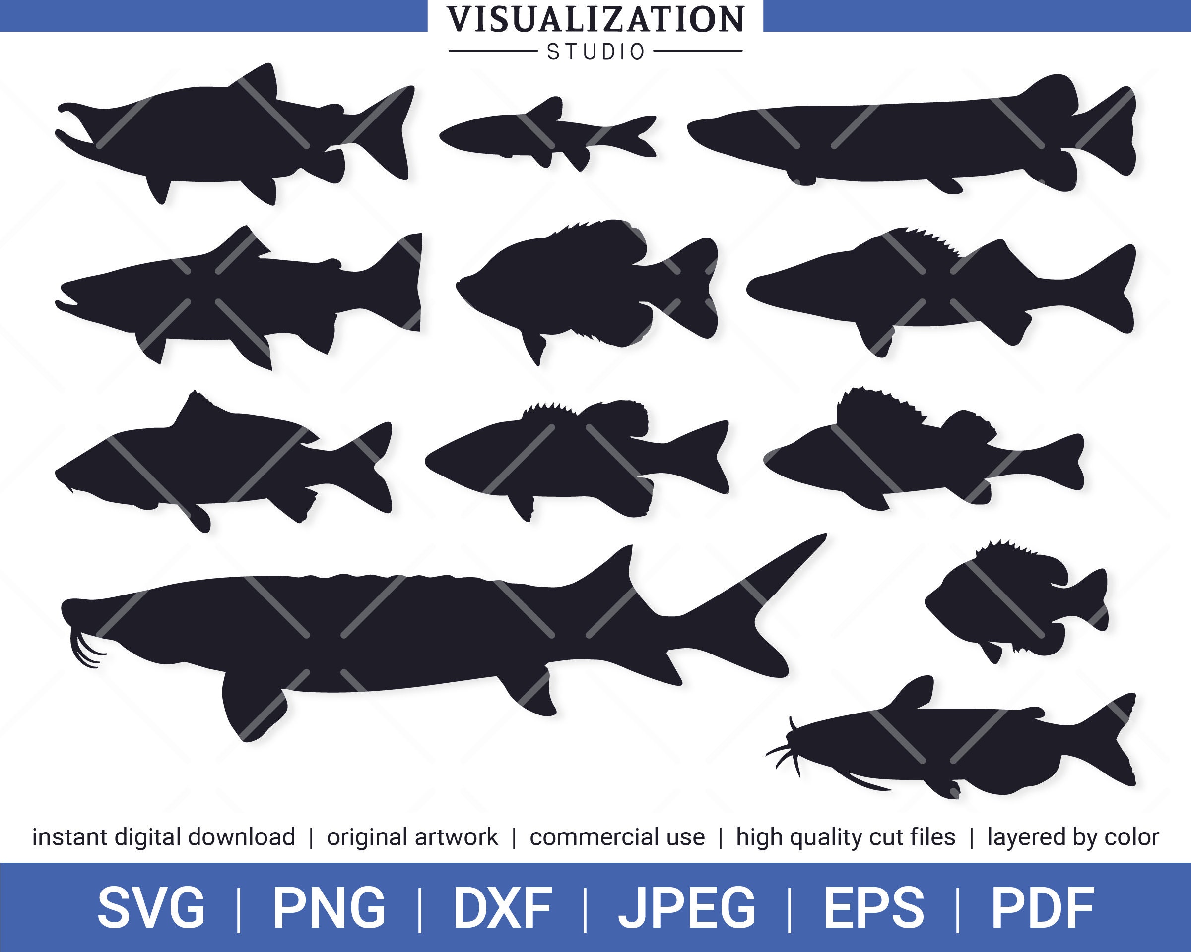 Fish Shape Vector