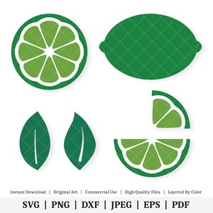 Könnte beinhalten: Ein Satz Limetten-SVG-Schnittdateien, darunter eine ganze Limette, ein Limettenkeil, eine Limettenscheibe und zwei Limettenblätter. Die Limette ist grün mit einem weißen Umriss und die Blätter sind dunkelgrün.
