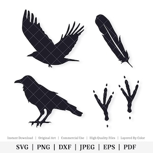 Raven Shapes | Vector Bundle | INSTANT DIGITAL DOWNLOAD | svg | png | dxf | jpeg | eps | pdf