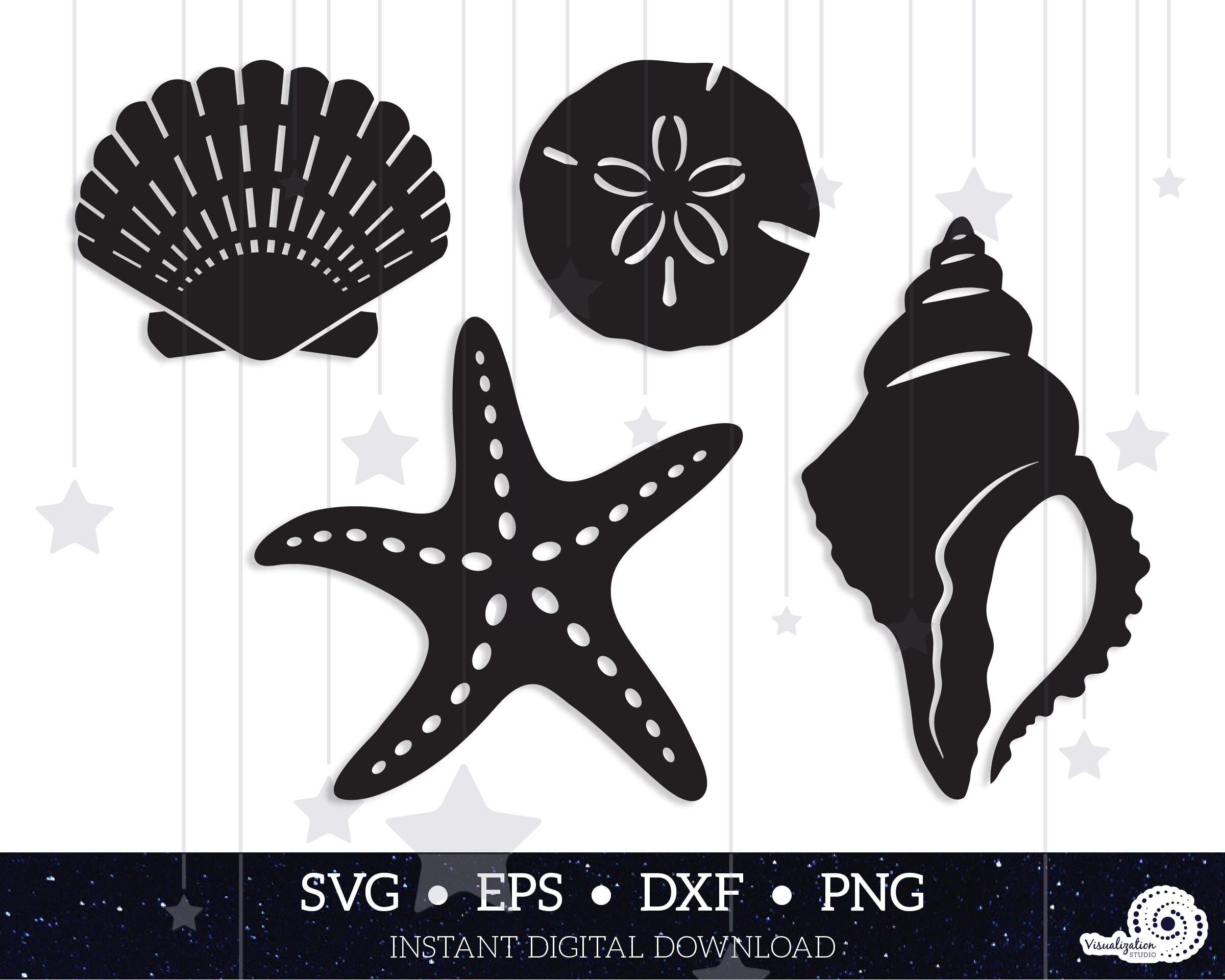 Download Seashells Vector Set 1 Instant Digital Download Svg Etsy